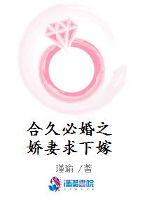 合久必婚之娇妻求下嫁